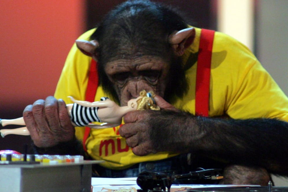 Der Schimpanse aus der Originalsendung "Ronnys Pop Show": Er wird in der Neuauflage durch eine Puppe ersetzt.