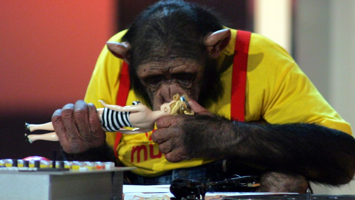 Der Schimpanse aus der Originalsendung "Ronnys Pop Show": Er wird in der Neuauflage durch eine Puppe ersetzt.