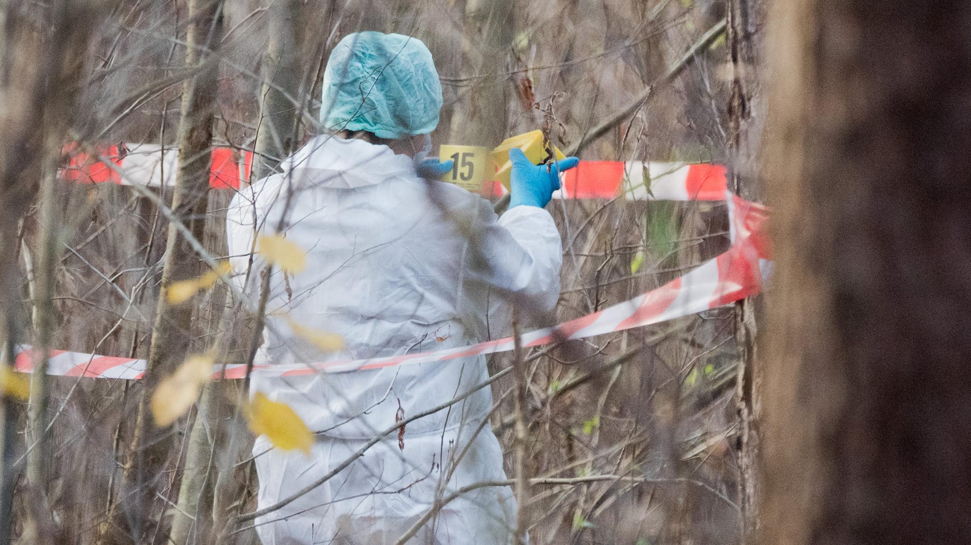 Die Polizei sichert Spuren in einem Wald an einer Landstraße bei Celle.