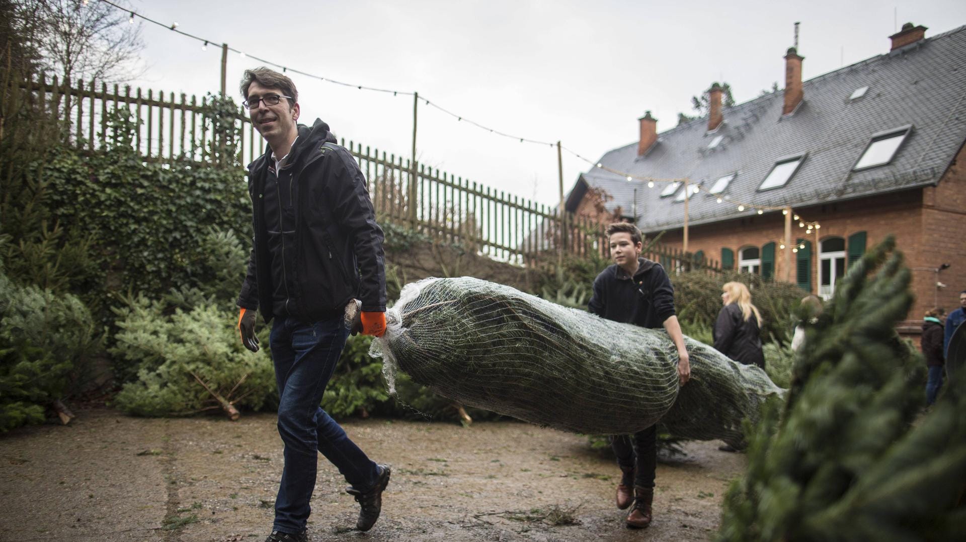 Im vergangenen Jahr wurden mehr als 29 Millionen Weihnachtsbäume gekauft.