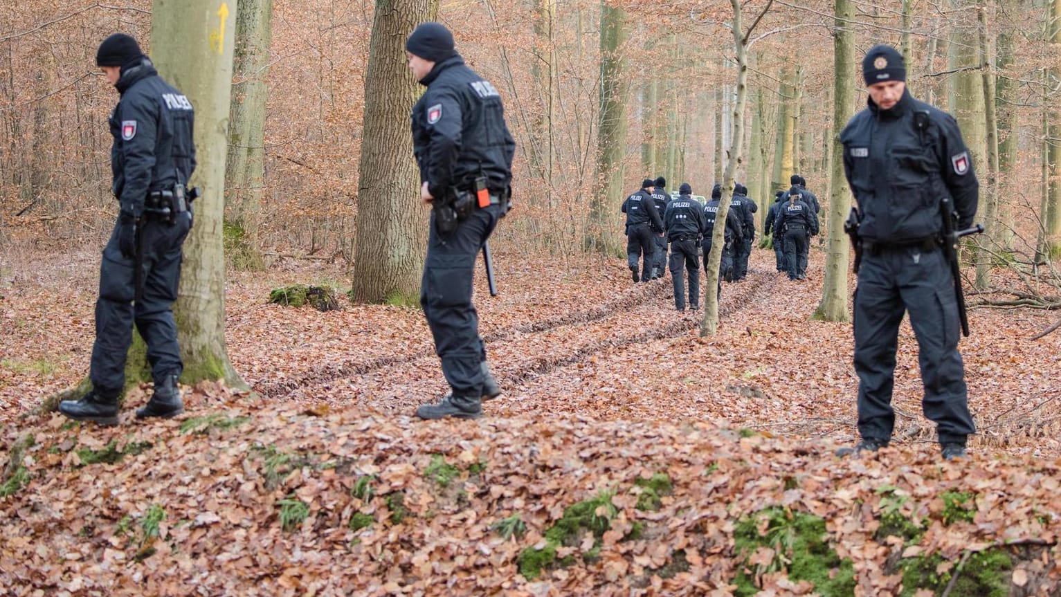 Beamte am Fundort einer Frauenleiche im Sachsenwald bei Aumühle in Schleswig-Holstein.