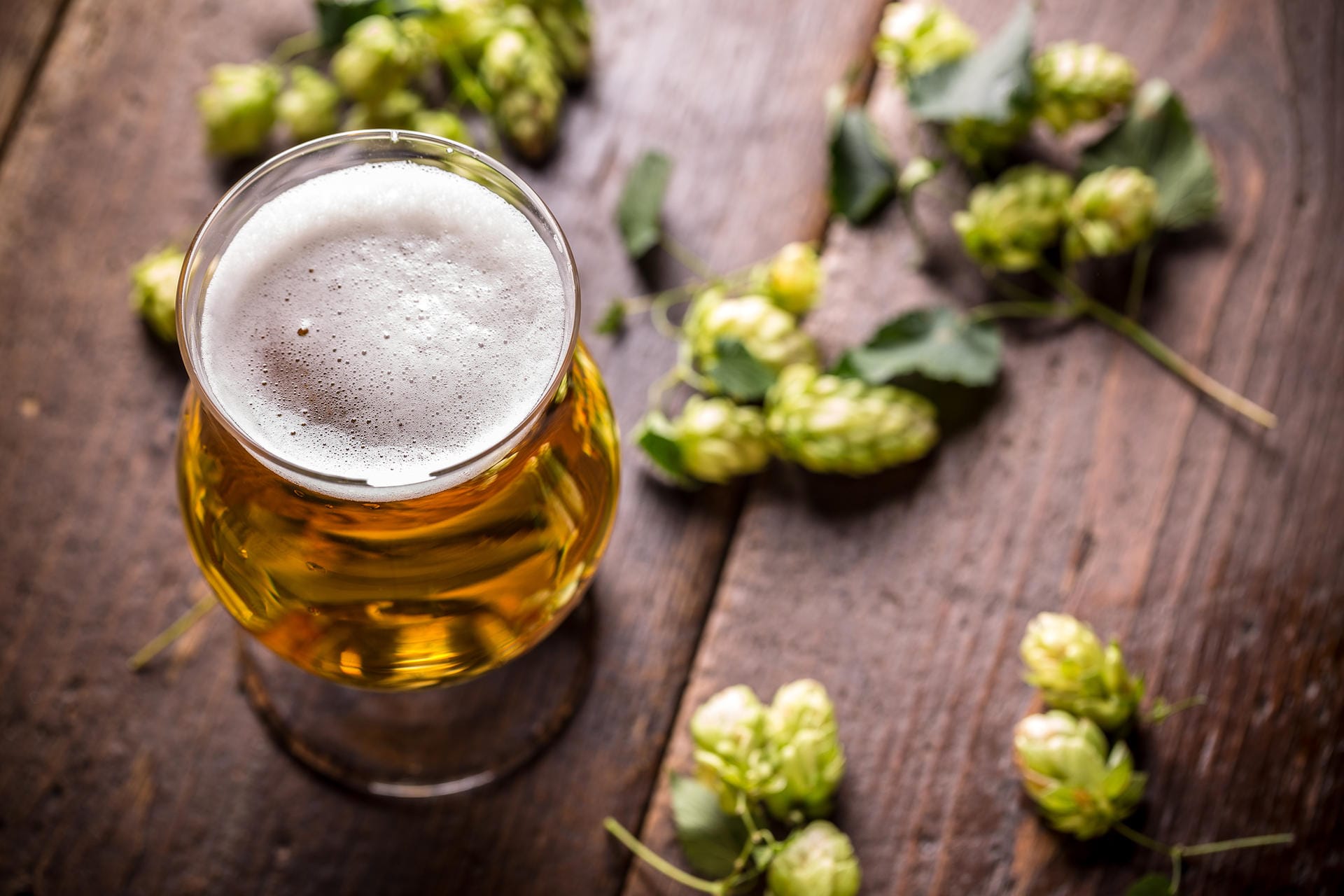 Seit mehr als 500 Jahren wird hier aus Hopfen leckeres Bier gebraut.