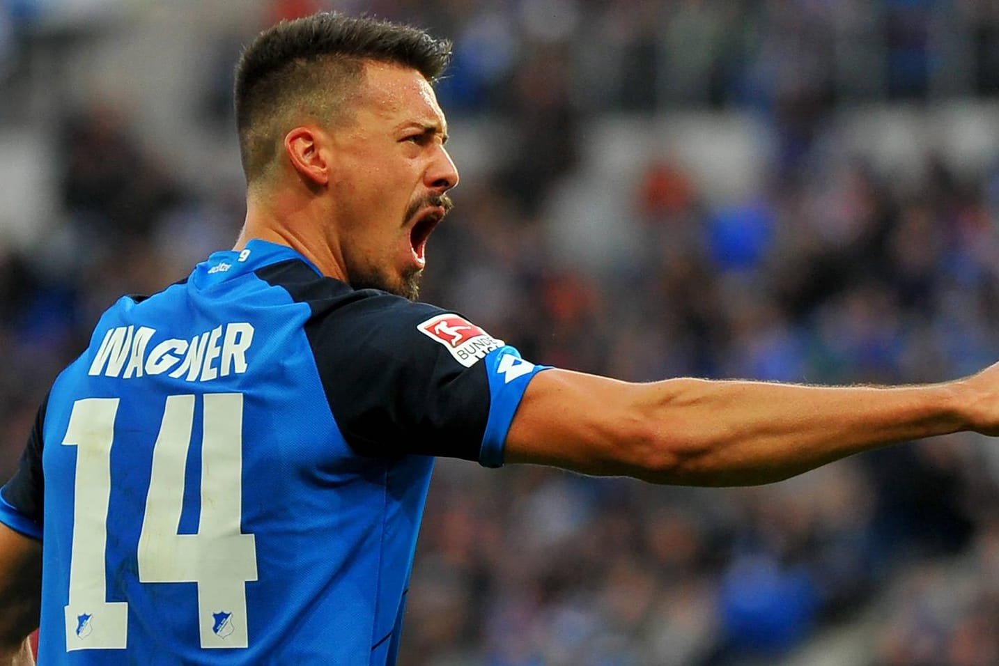 Sandro Wagner erzielte in dieser Saison bereits sieben Bundesliga-Tore für die TSG 1899 Hoffenheim.