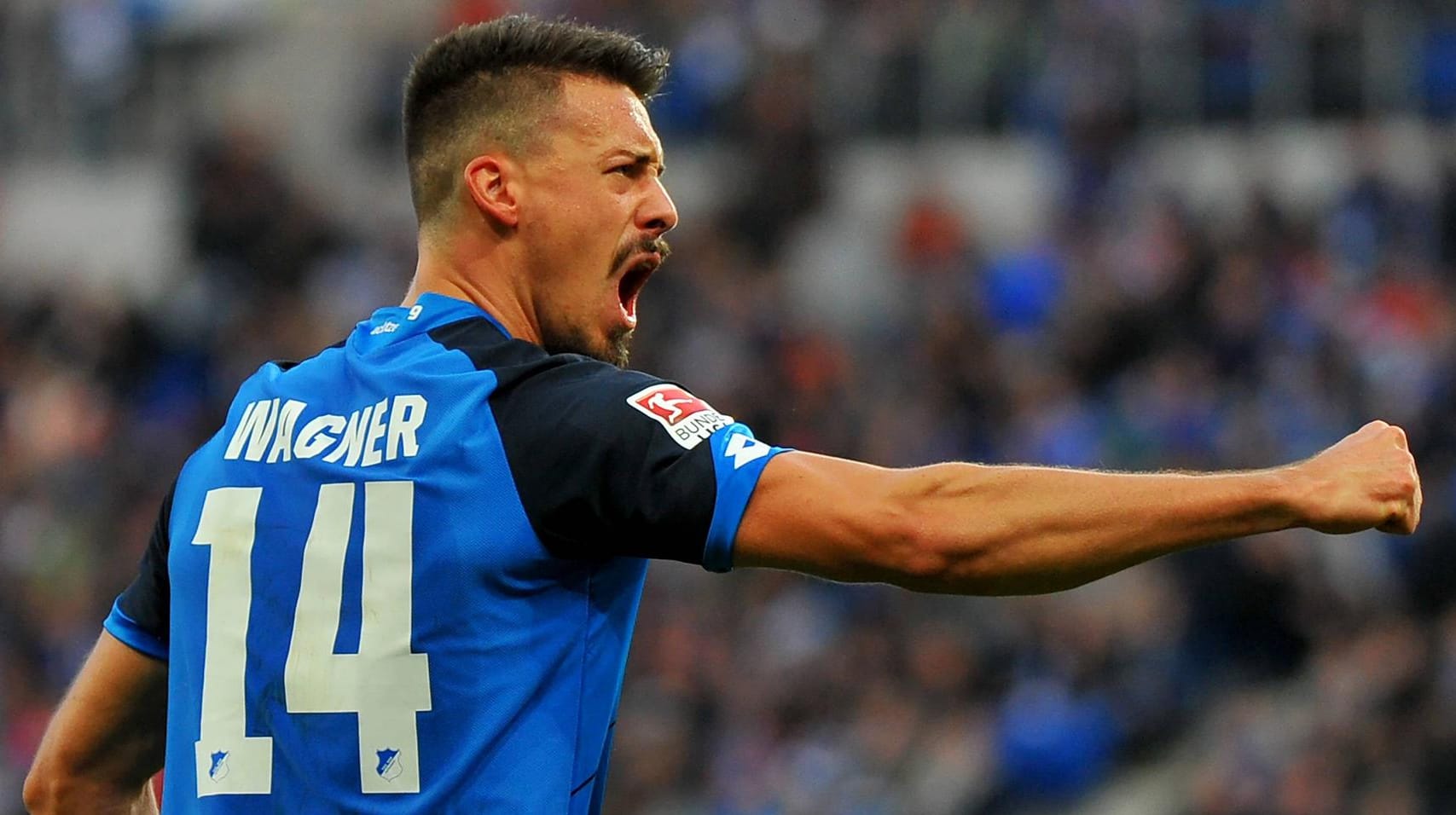 Sandro Wagner erzielte in dieser Saison bereits sieben Bundesliga-Tore für die TSG 1899 Hoffenheim.