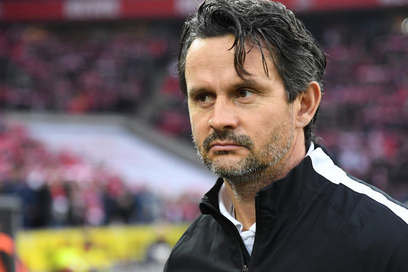 Dirk Schuster muss in Augsburg gehen.