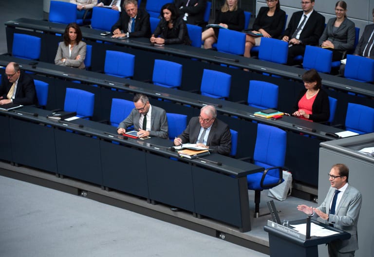 Der Bundestag, die zauberarme Zone