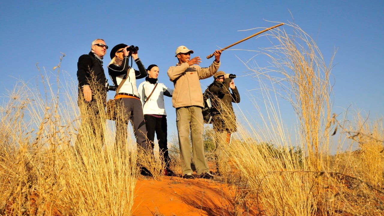 Die Kalahari lässt sich nur mit einem ortskundigen Führer erkunden.