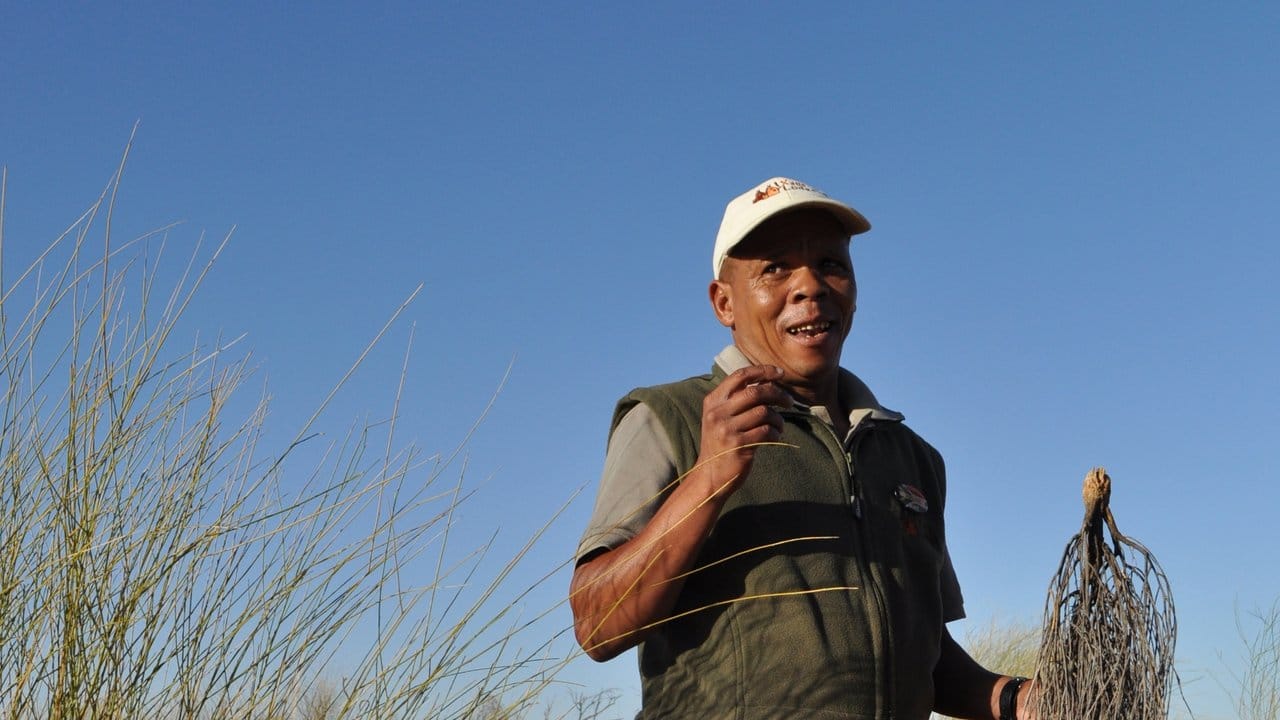 San-Führer Andries kennt die Wege und die Vegetation in der Kalahari.