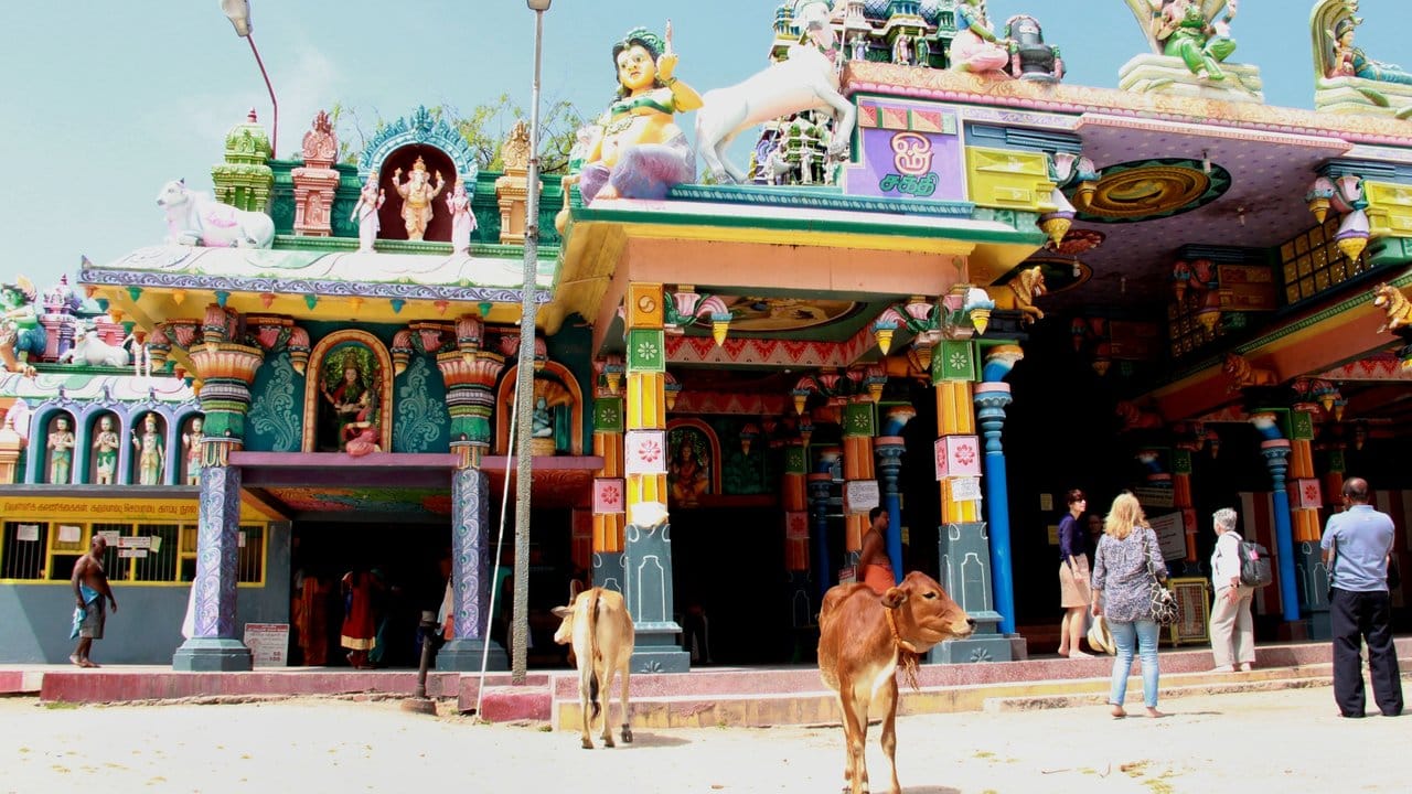 Farbenprächtig ist dieser Hindutempel auf der Insel Pungudutivu in Jaffna.