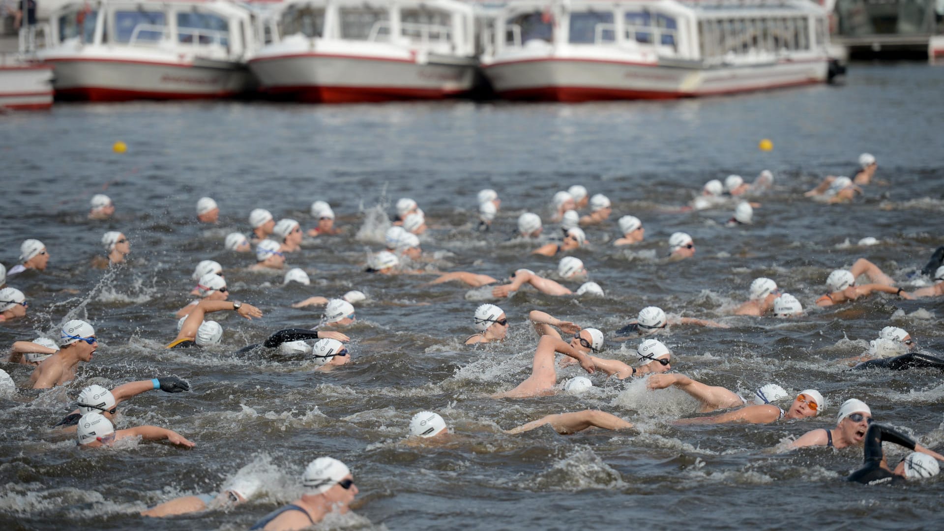 Schwimmer beim Triathlon in Hamburg.