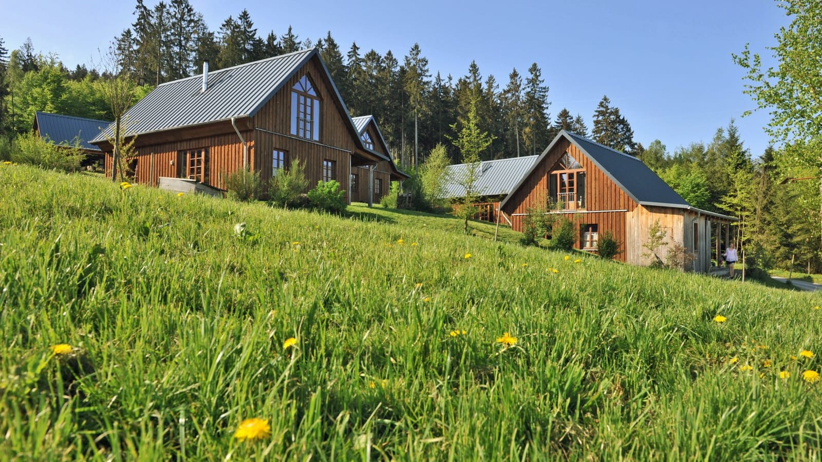 Das "Bergdorf LiebesGrün" liegt für ein Bergdorf ziemlich weit im Norden. Das kleine Idyll im Sauerland ist laut Holidaycheck das beliebteste Hotel Deutschlands.