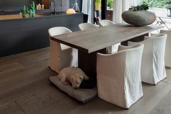 Mit einem rechteckigen Esstisch können Sie den Raum geschickt nutzen.