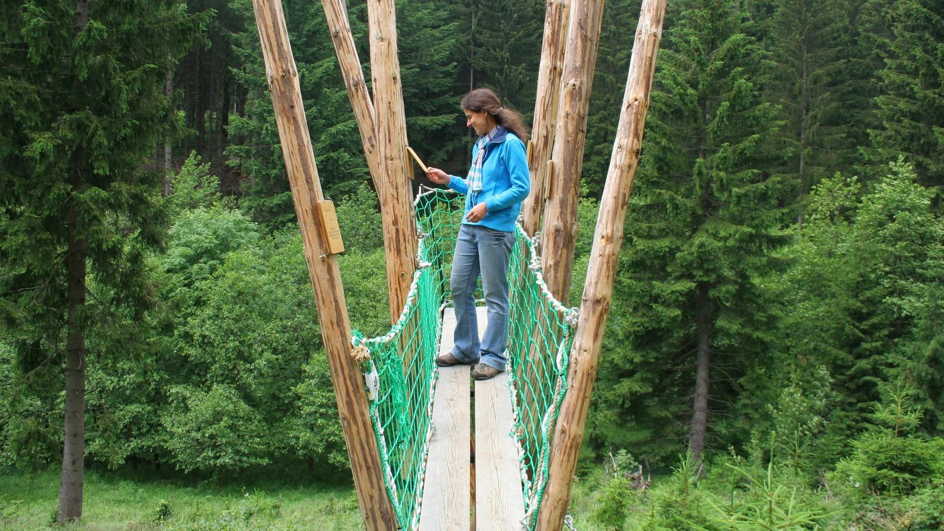 Der Naturmythenpfad bei Braunlage im Nationalpark Harz