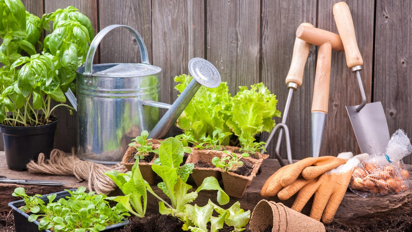 Gartenutensilien: Jeder Hobbygärtner sollte bestimmte Begriffe kennen