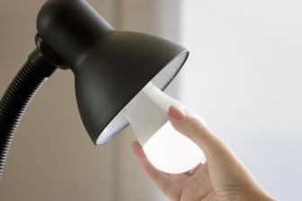 Lampenschirm und Leuchtmittel: Auch LEDs müssen gewechselt werden.