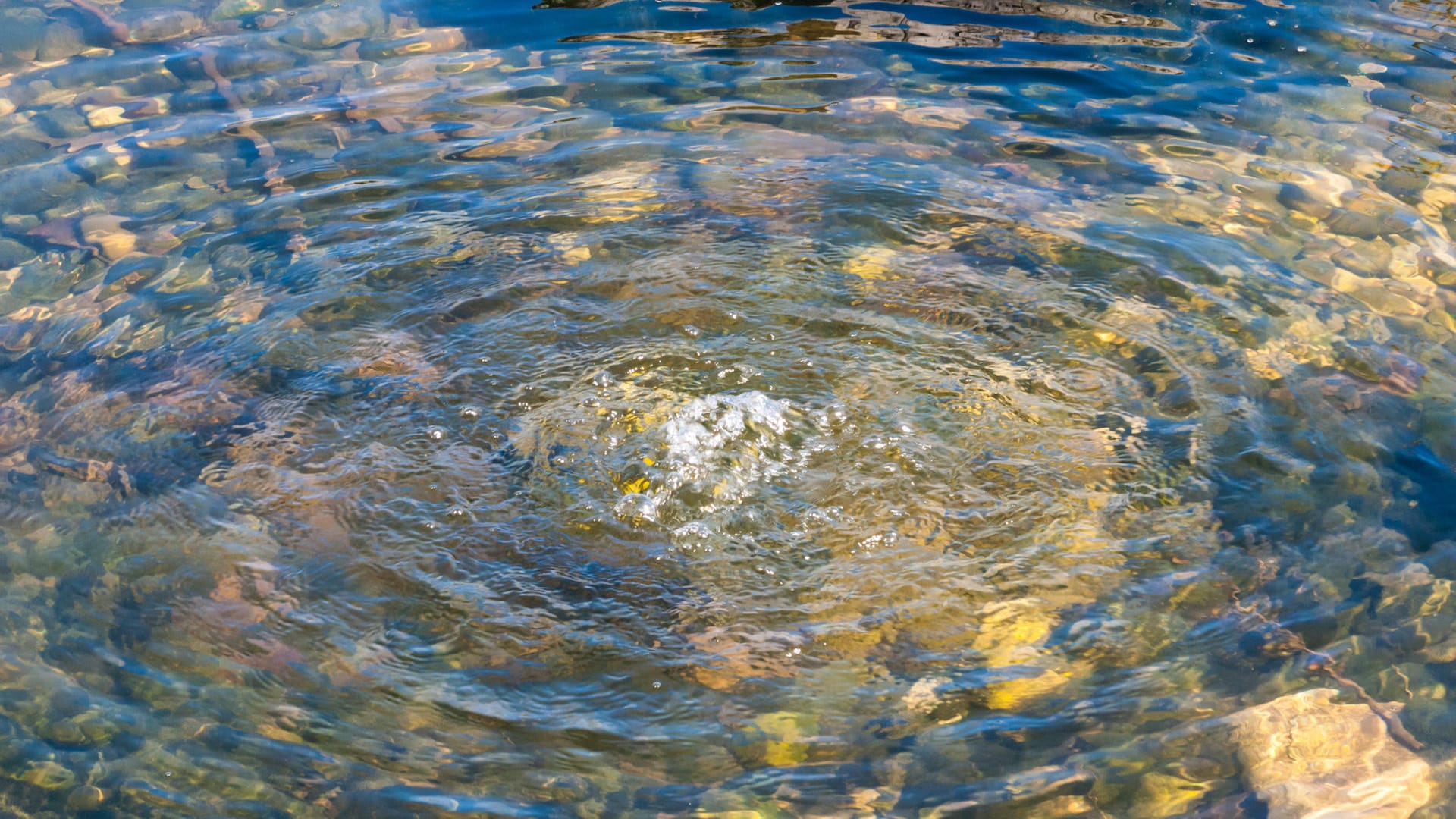 Wasserblasen im Gartenteich