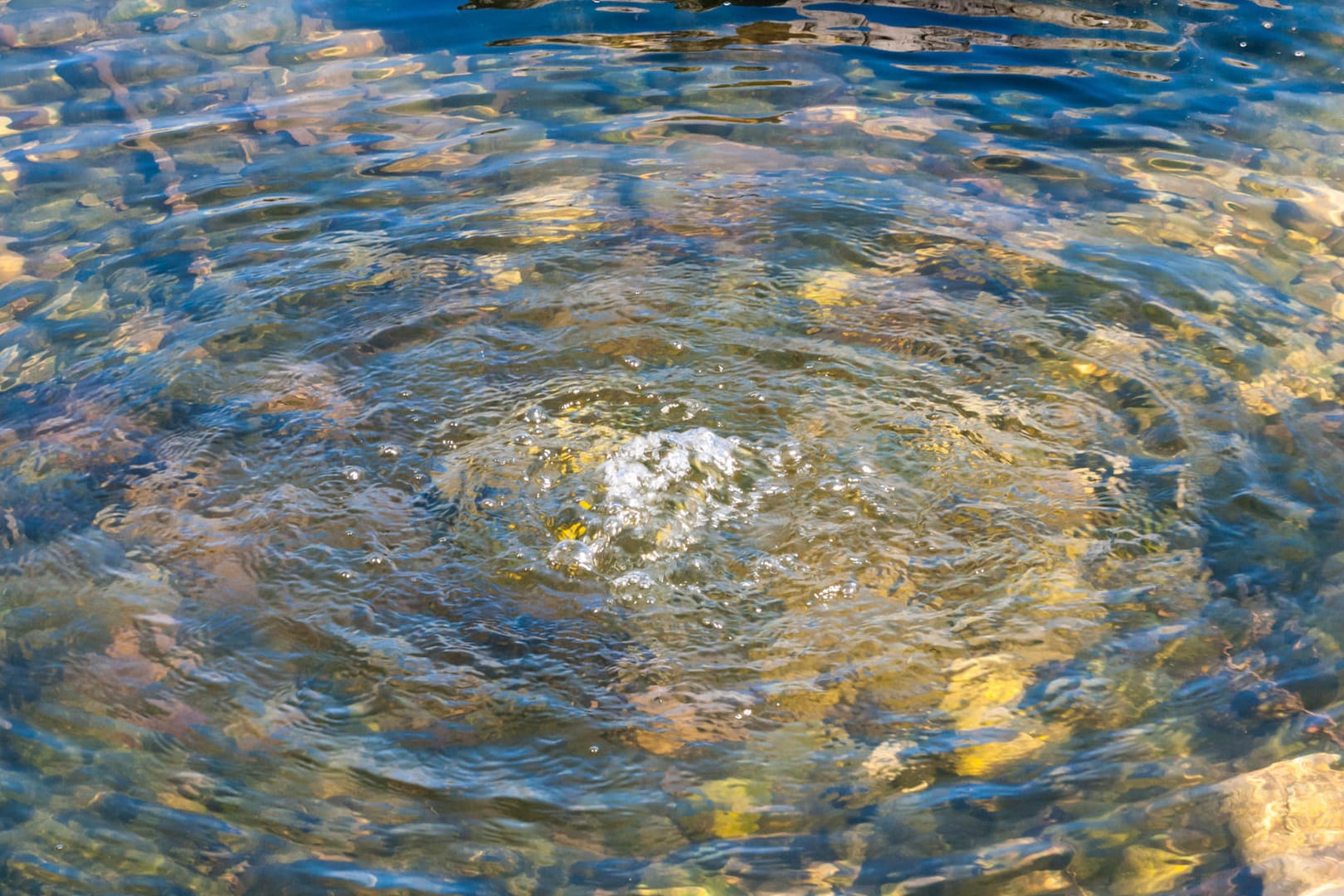 Wasserblasen im Gartenteich