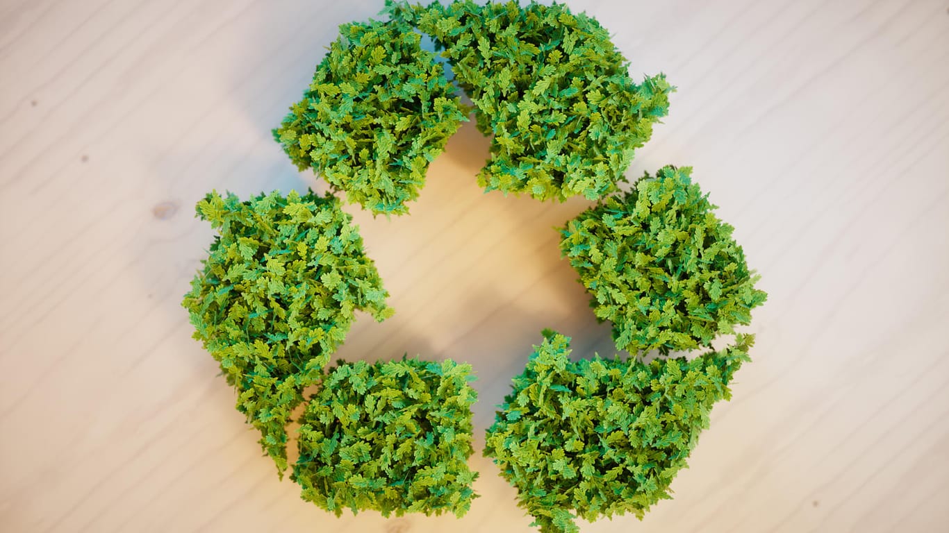 Ein Recycling-Symbol aus Pflanzen