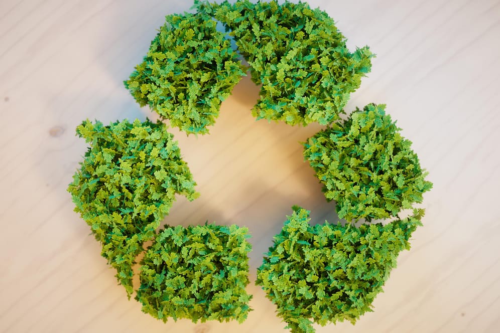 Ein Recycling-Symbol aus Pflanzen