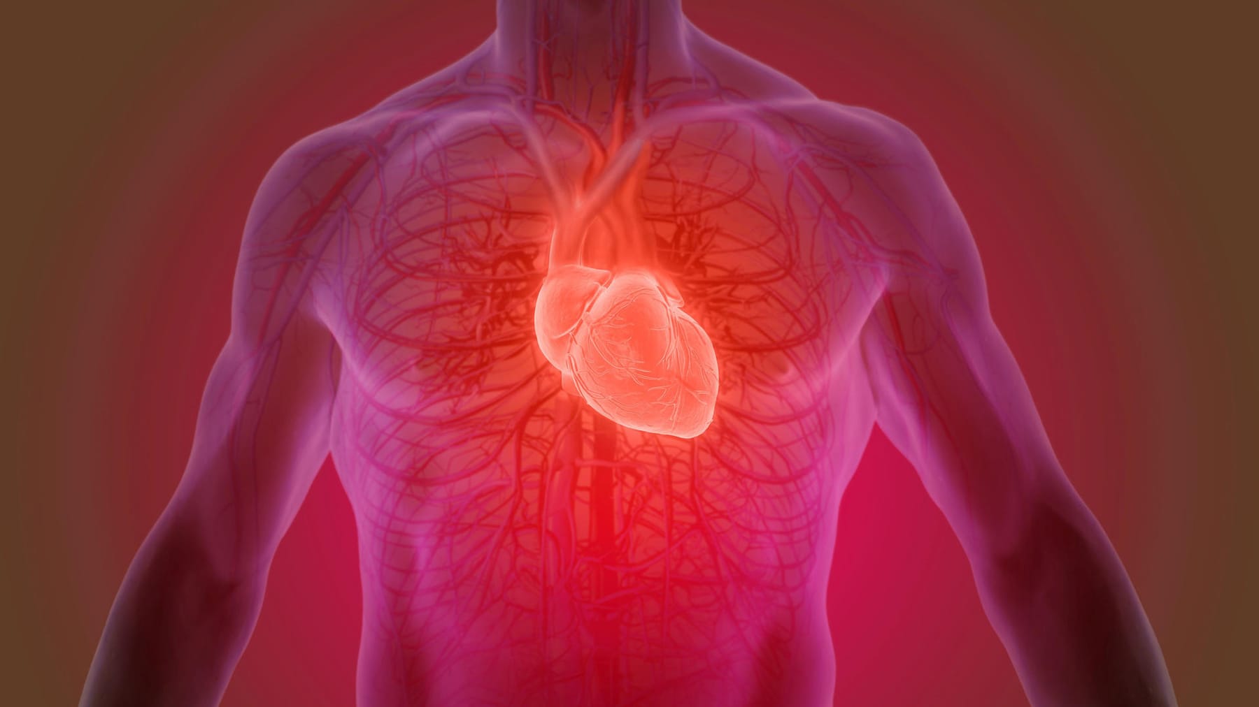 Herzschwäche erkennen: Symptome, Ursachen & Behandlung