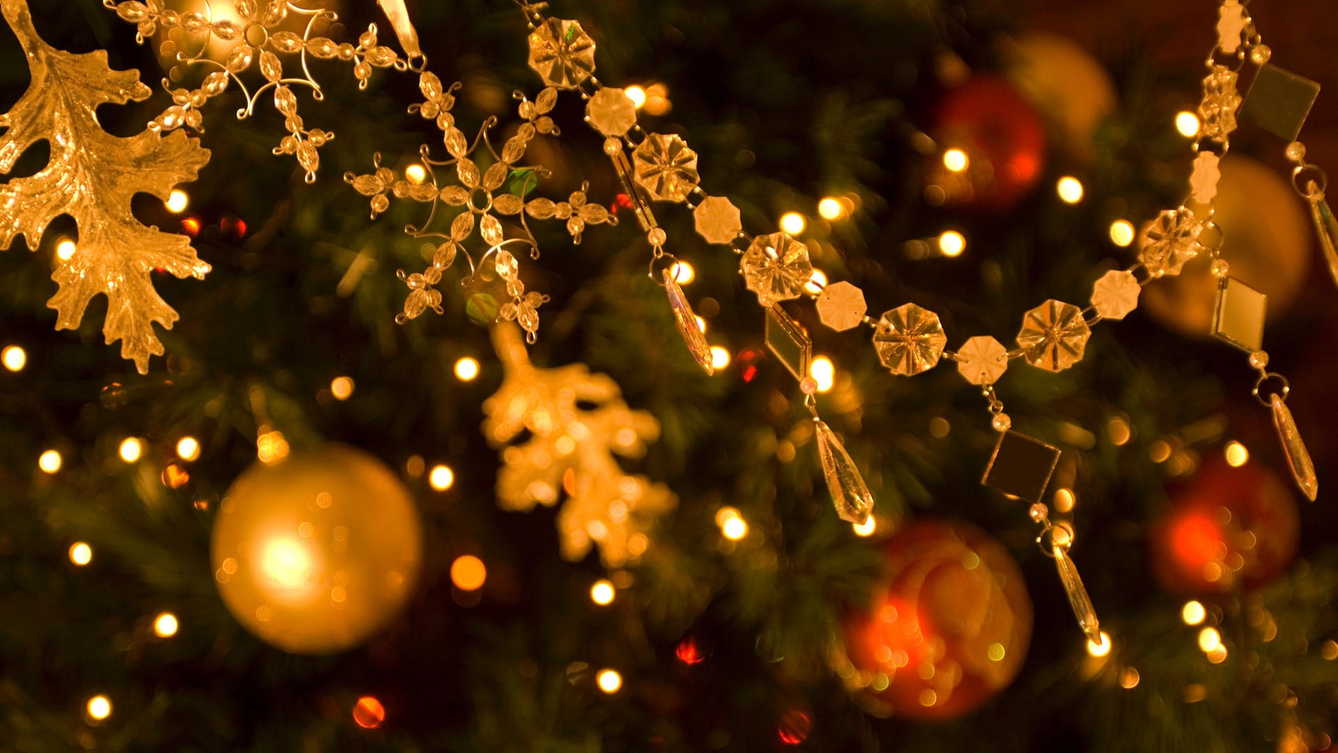 Ornaments on a Christmas tree