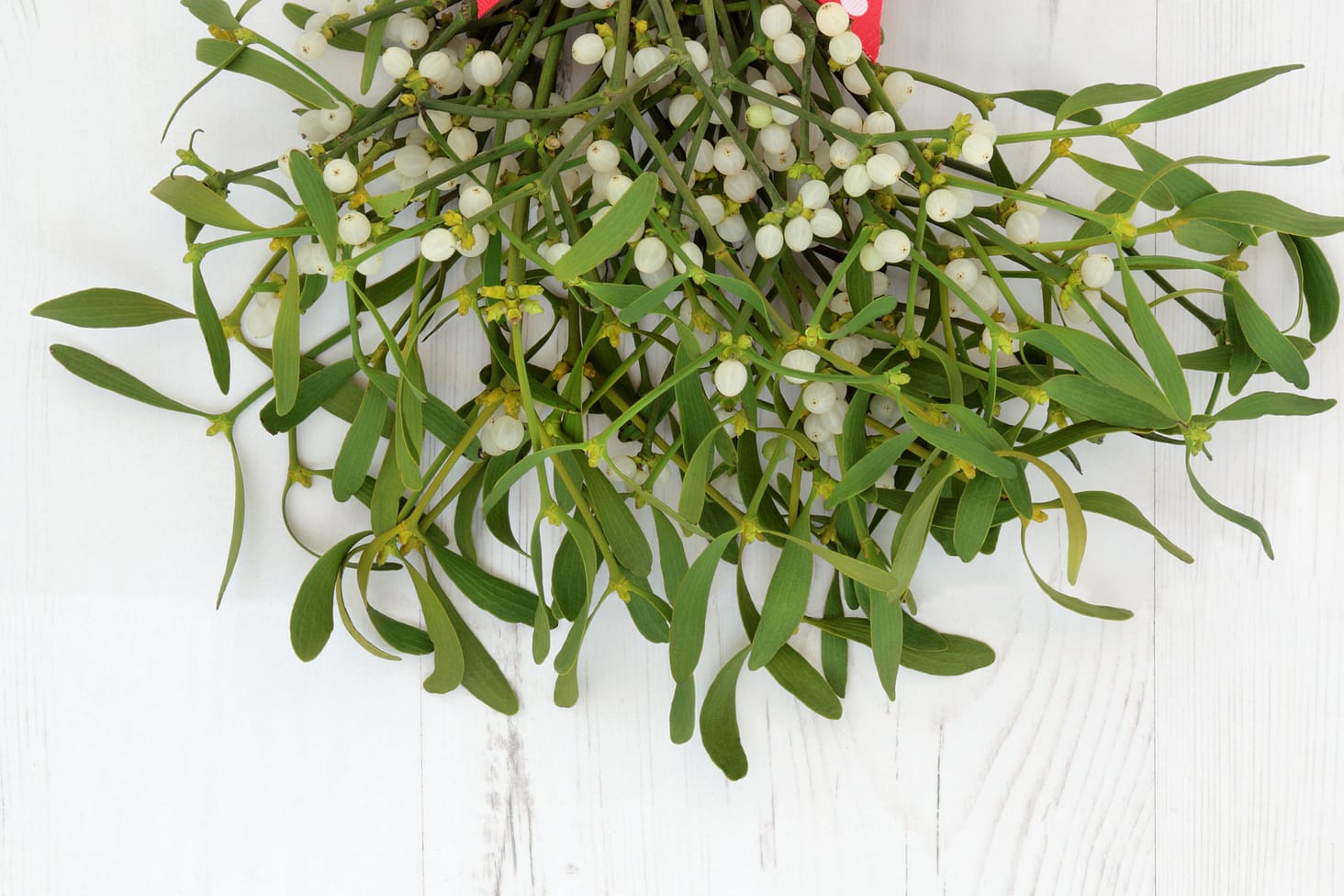 Christmas Mistletoe Decoration