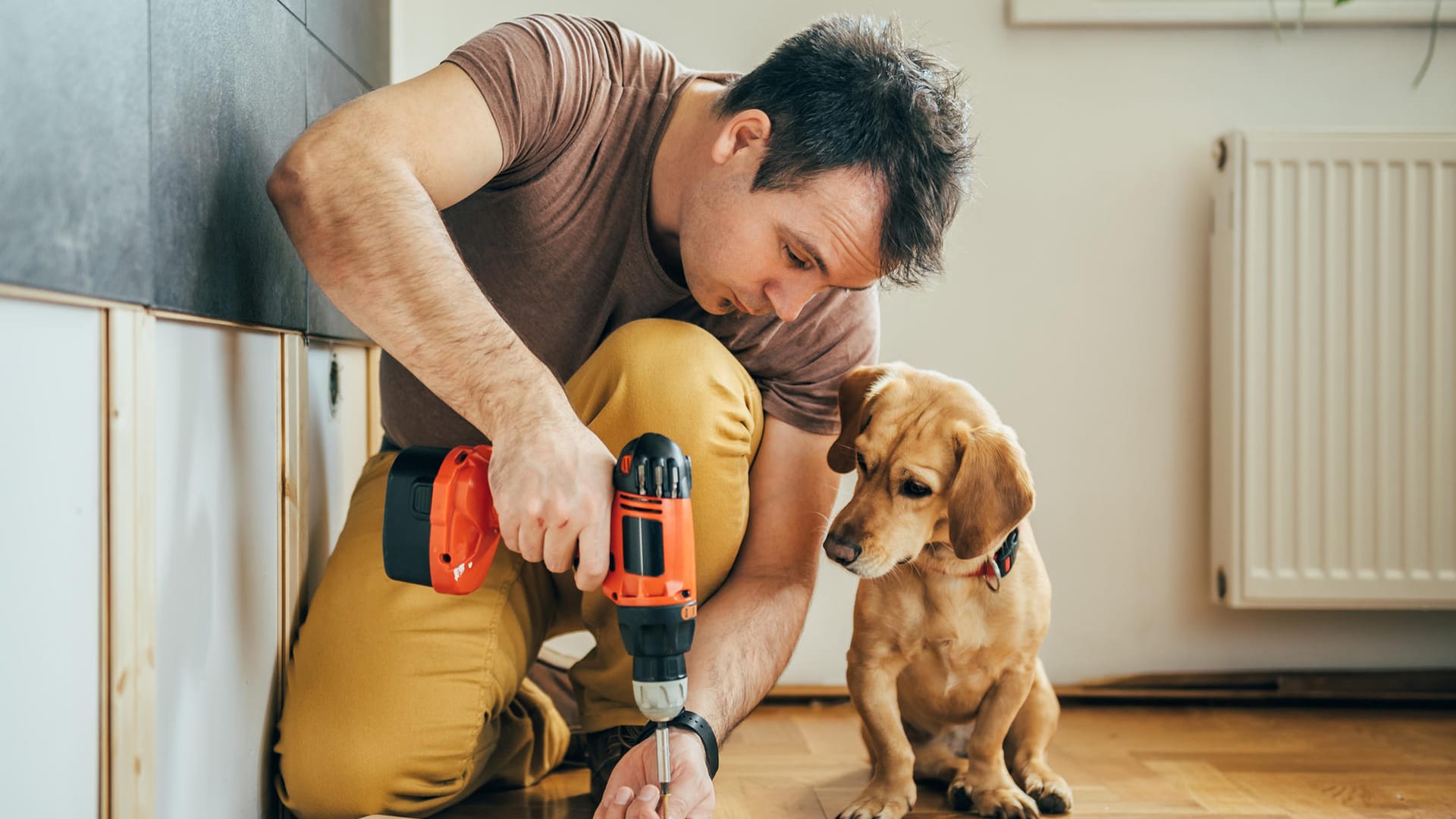 Man and his dog doing renovation work at home