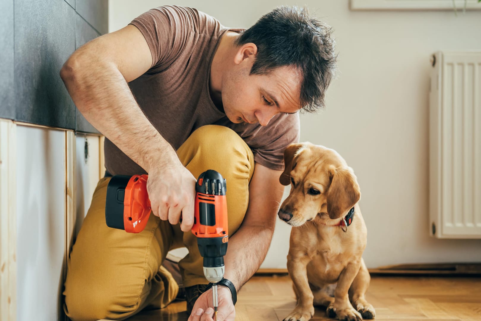 Man and his dog doing renovation work at home