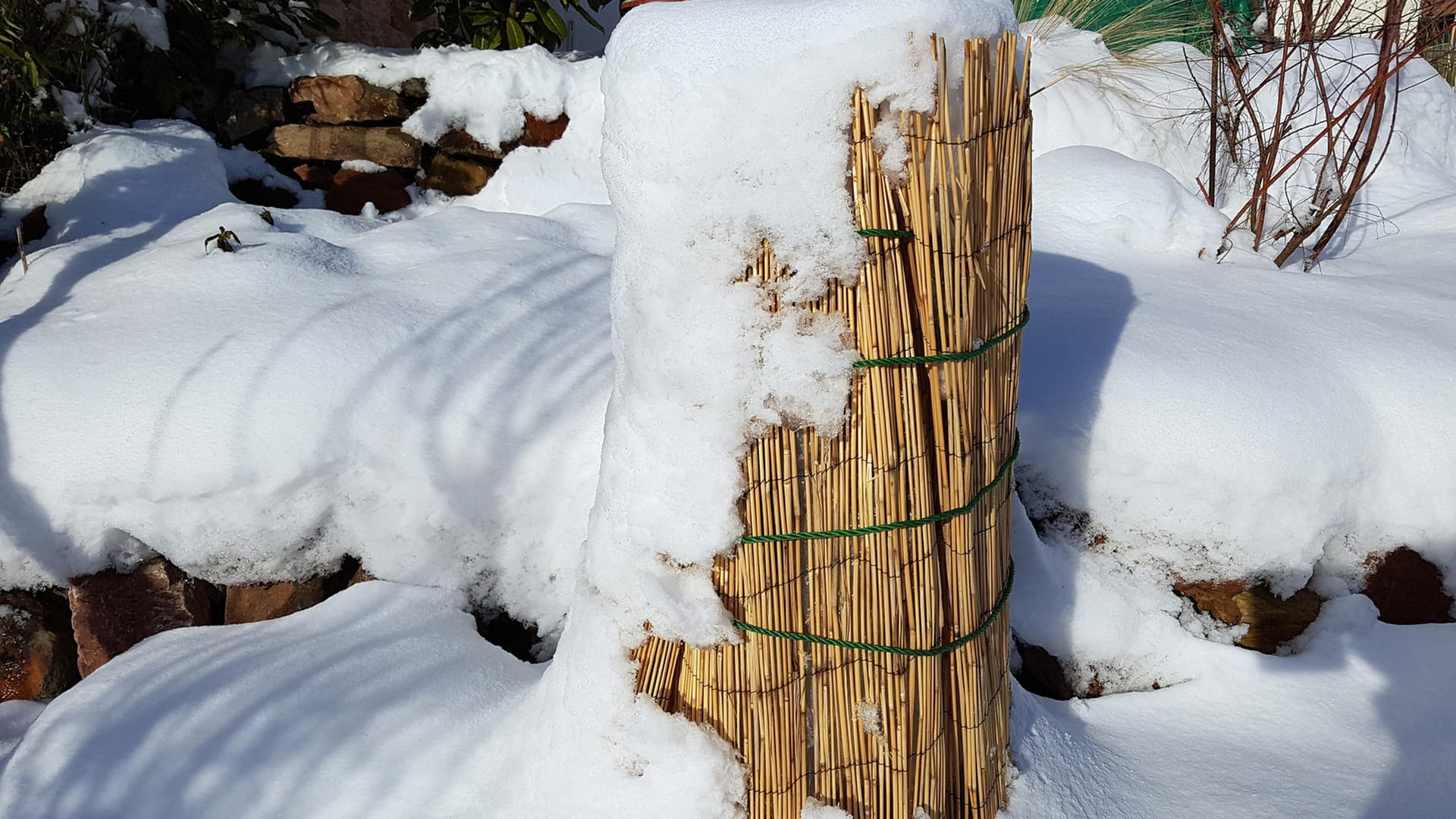 Winter protection; Frost protection; Reeds