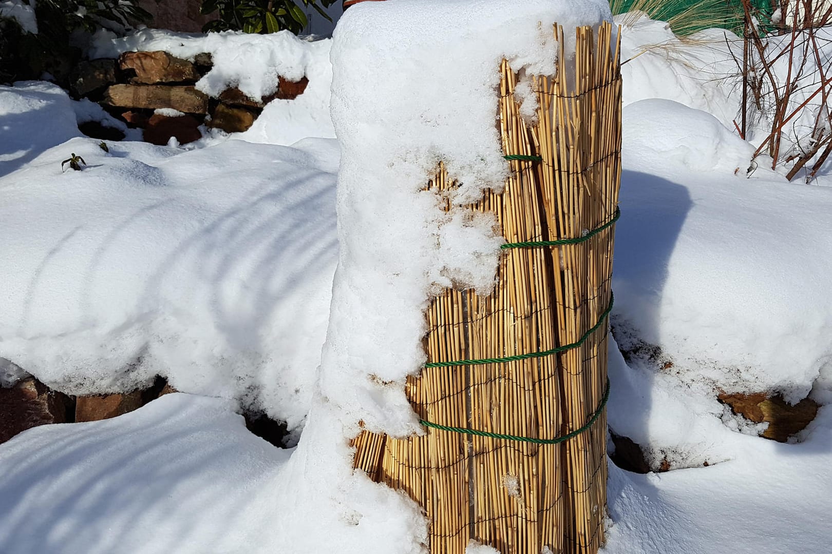 Winter protection; Frost protection; Reeds