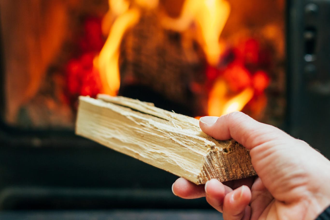 Kamin anzünden: Nicht jedes Holz eignet sich dafür.