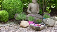 Zen-Garten anlegen: Schritt-für-Schritt-Anleitung