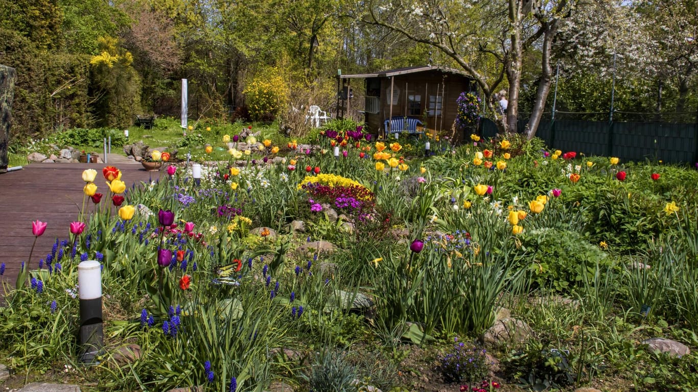 Blühender Garten: Bei einem Naturgarten steht die Pflanzenvielfalt im Vordergrund.