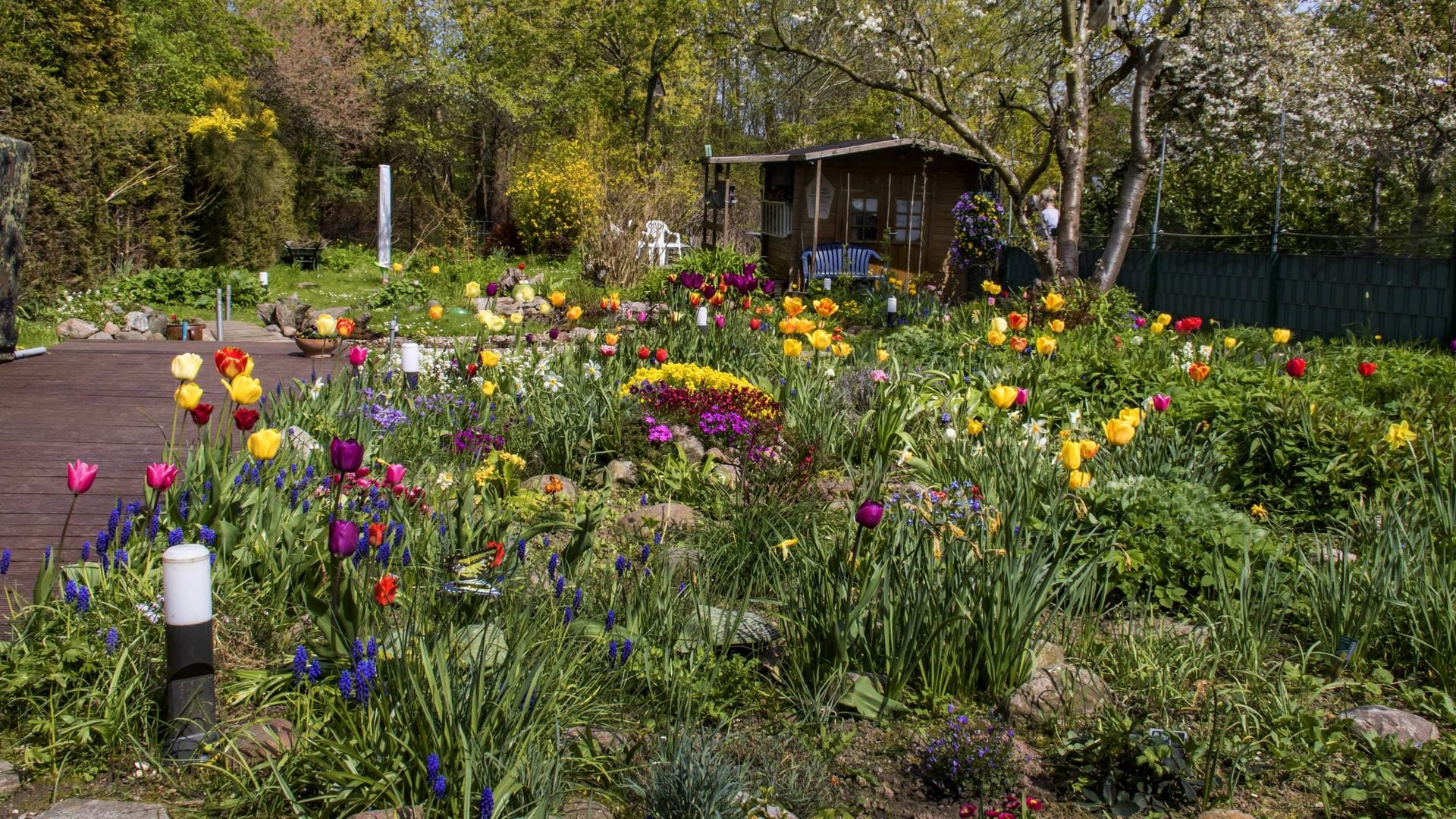 Blühender Garten: Bei einem Naturgarten steht die Pflanzenvielfalt im Vordergrund.