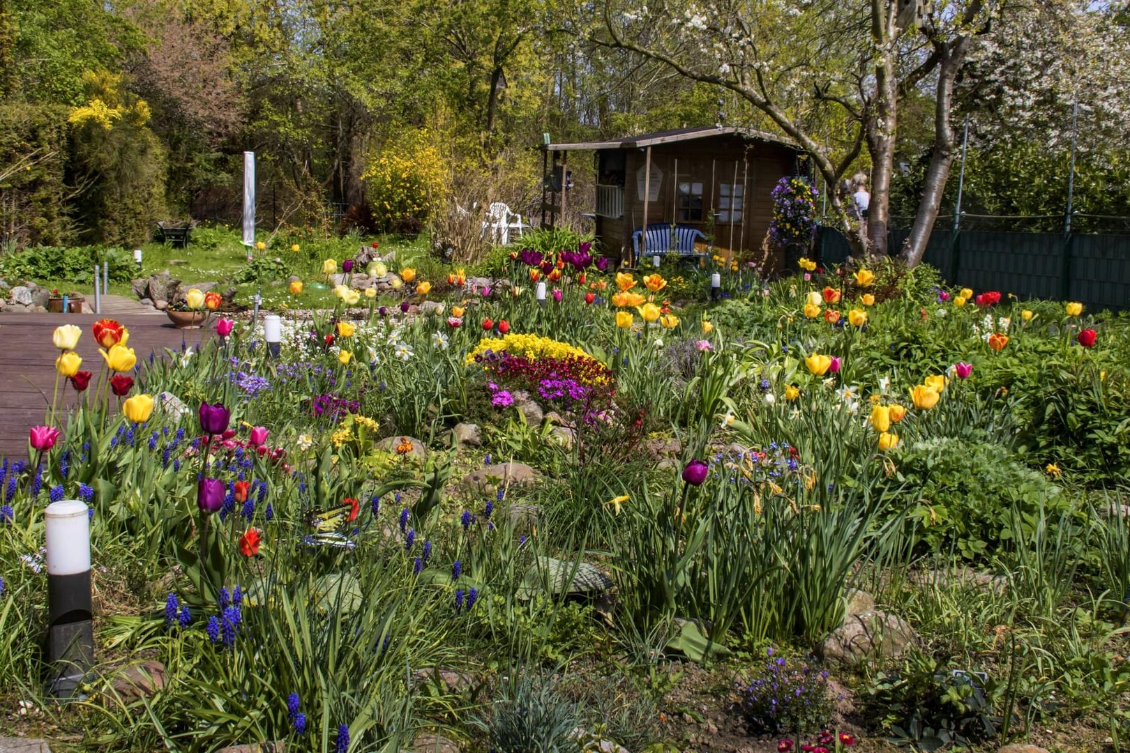 Blühender Garten: Bei einem Naturgarten steht die Pflanzenvielfalt im Vordergrund.