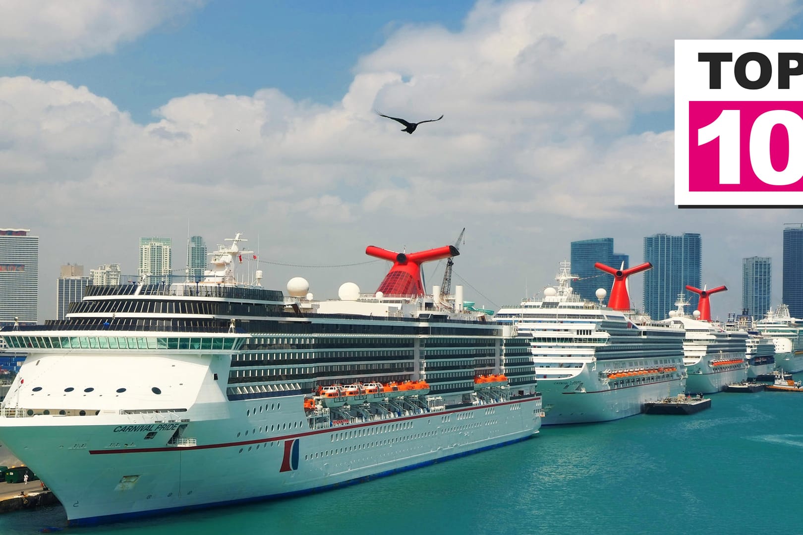 Carnival Ships im Hafen von Miami – dem größten Kreuzfahrtschiffhafen weltweit.