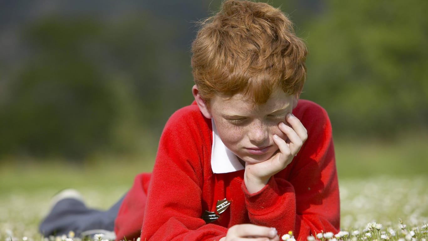 A red-haired boy lies in a lush green meadow.