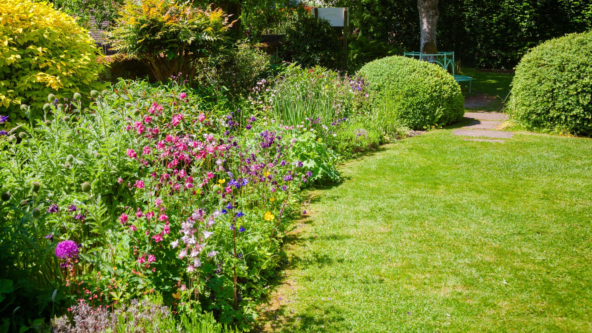 Stauden: Im Garten erzielen Stauden den besten Effekt, wenn sie in kleinen Gruppen gepflanzt werden.