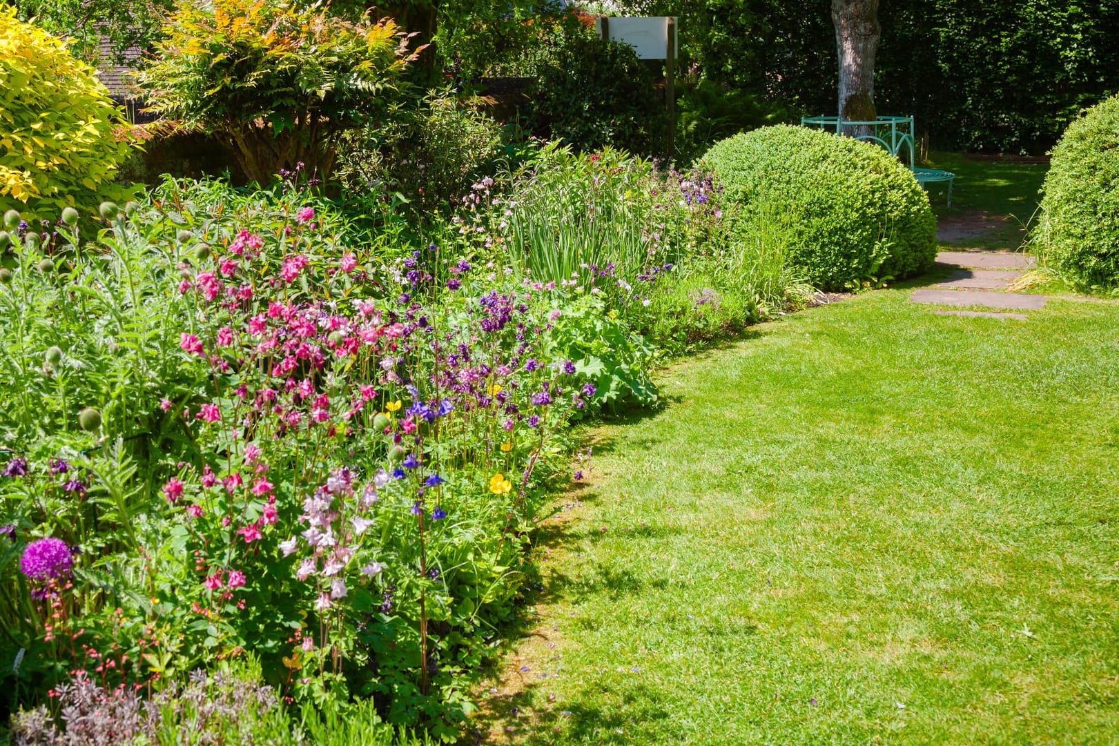 Stauden: Im Garten erzielen Stauden den besten Effekt, wenn sie in kleinen Gruppen gepflanzt werden.