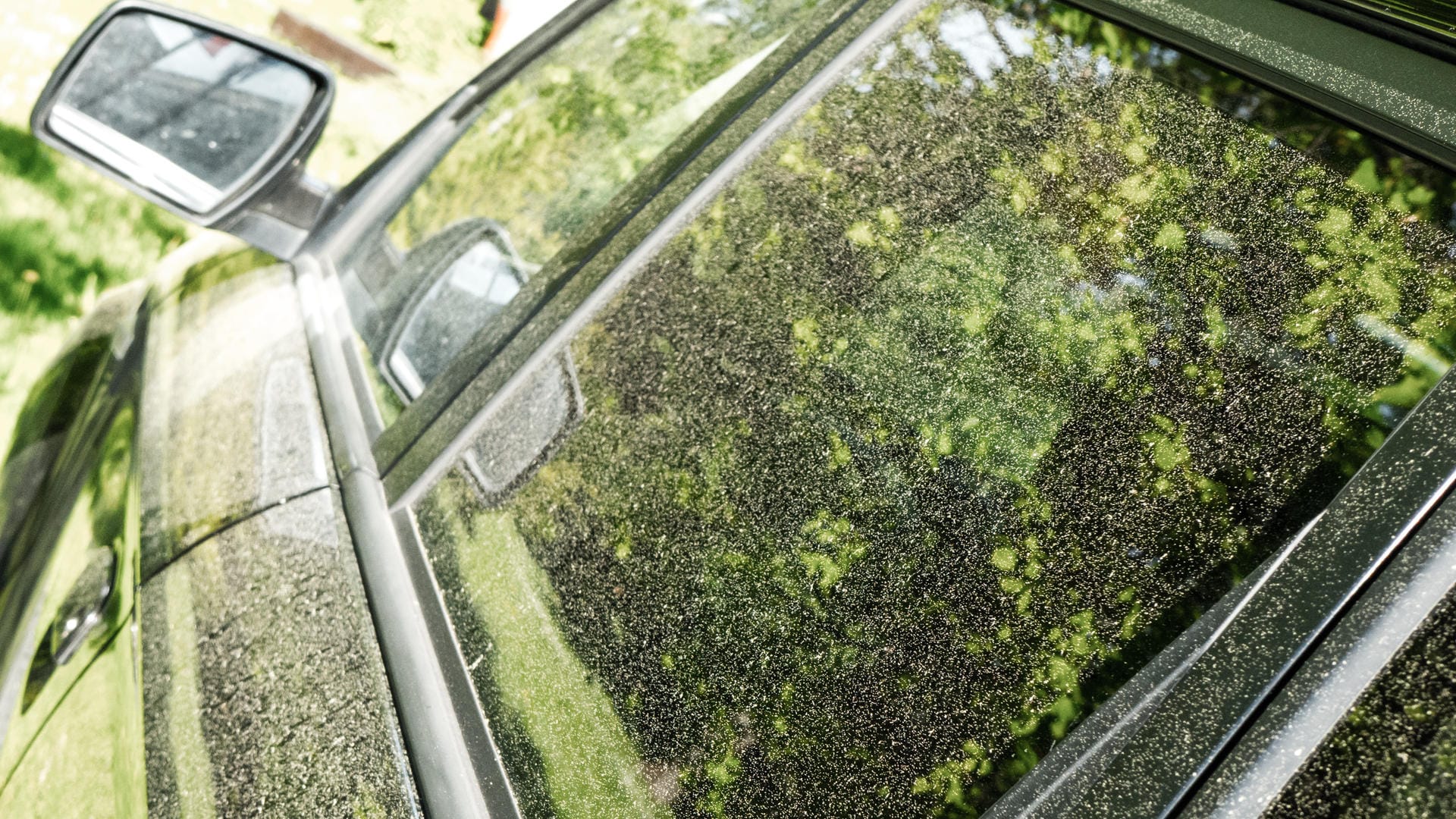 Pollen auf dem Auto: Viele Autofahrer befürchten, sie könnten den Lack angreifen.