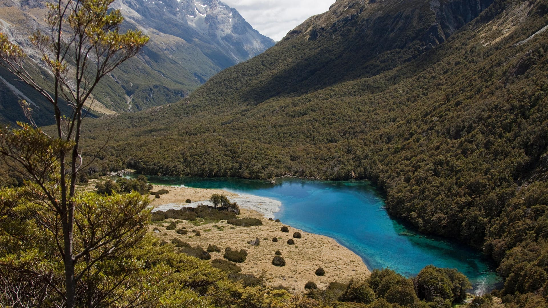 Der Blue Lake im Nelson Lakes National Park