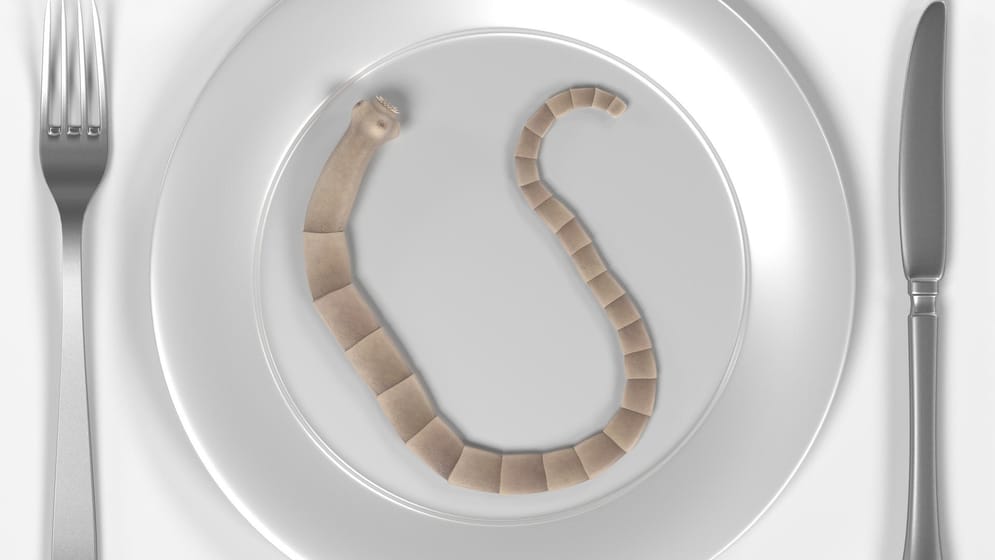 Bandwurm beim Menschen Symptome, Verlauf, Behandlung und Folgen
