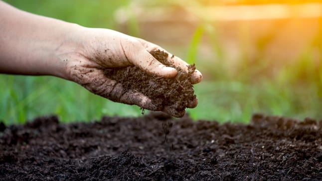 Bodenarten im Garten Bestimmen und verbessern
