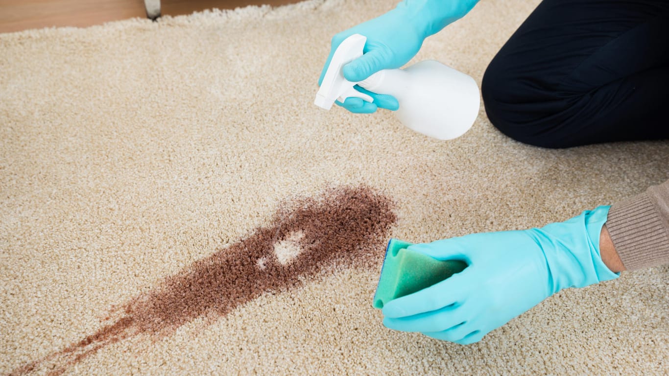 Rotweinflecken auf Teppichboden entfernen: Erst die Flüssigkeit mit einem Schwamm aufsaugen, dann mit einer Lauge behandeln.