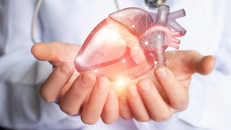 Das Herz – unser wichtigstes Organ: Rund drei Millionen Menschen leiden in Deutschland an einer Herzschwäche, schätzt die Deutsche Herzstiftung.