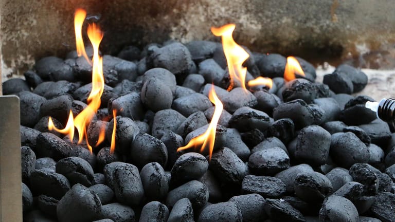 Brennmaterial: Holzkohle, Briketts und Gas haben verschiedene Vor- und Nachteile.