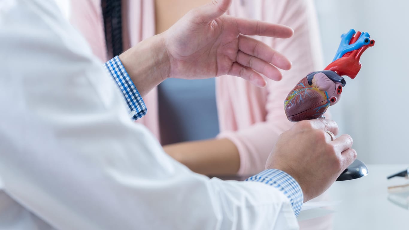 Ein Kardiologe erklärt die Anatomie des Herzens: Ein vergrößertes Herz kann sich durch koronare Herzkrankheiten, aber auch durch Bluthochdruck entwickeln.