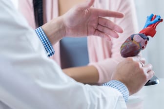 Ein Kardiologe erklärt die Anatomie des Herzens: Ein vergrößertes Herz kann sich durch koronare Herzkrankheiten, aber auch durch Bluthochdruck entwickeln.