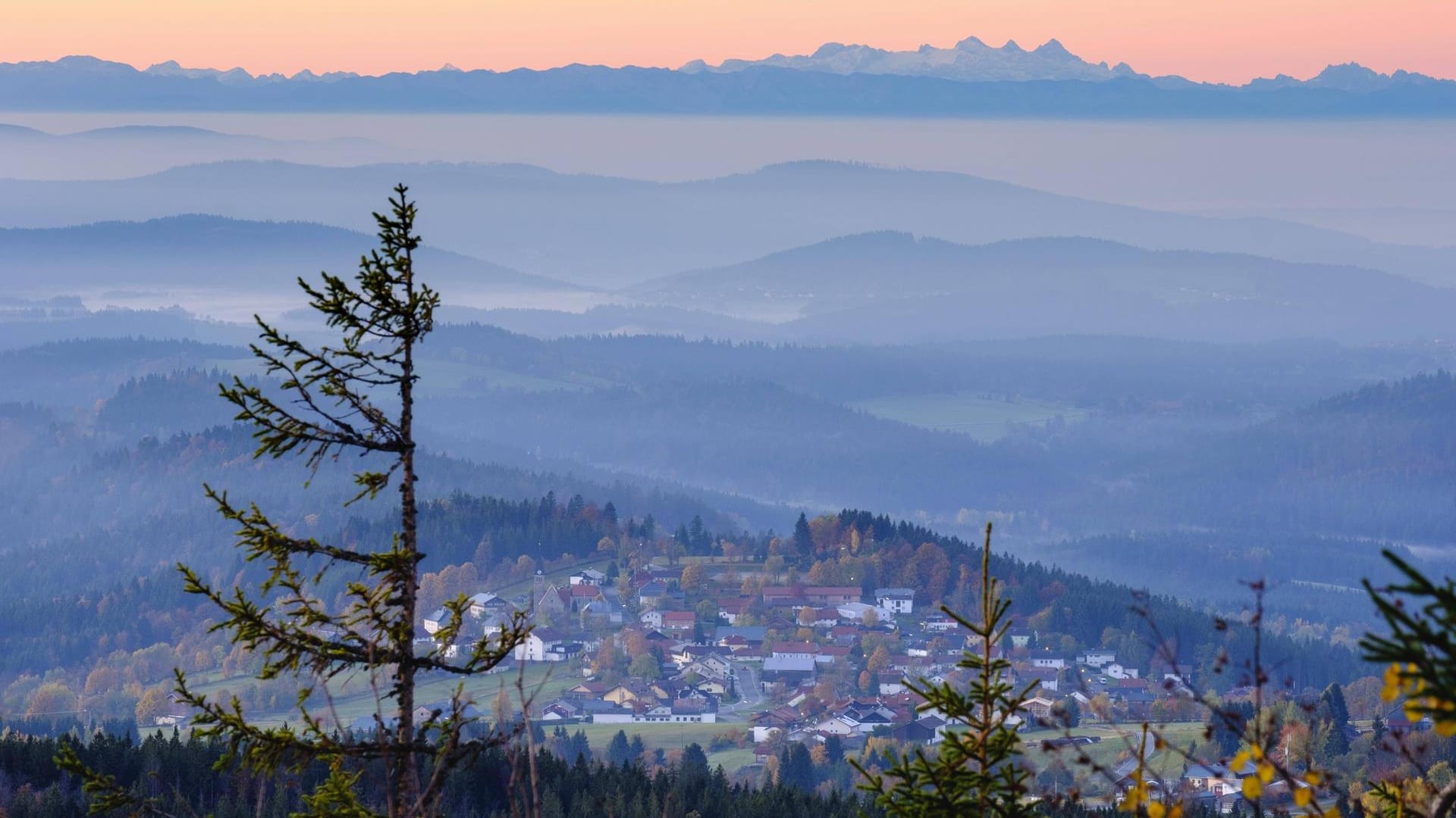 Nationalpark Bayerischer Wald: Blick vom Siebensteinkopf, der am südöstlichen Rand an der Grenze zu Tschechien liegt.