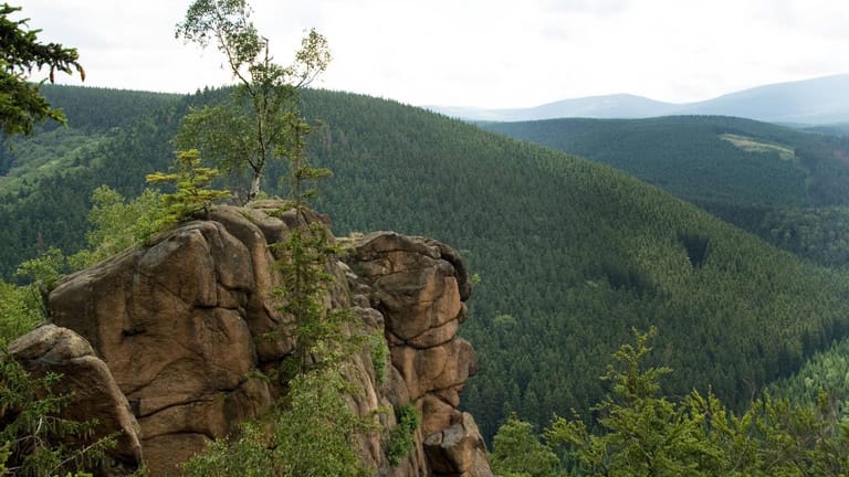 Nationalpark Harz: Die Rabenklippe nahe Bad Harzburg in Niedersachsen ist neben dem Brocken eines der Wahrzeichen des Reservats.